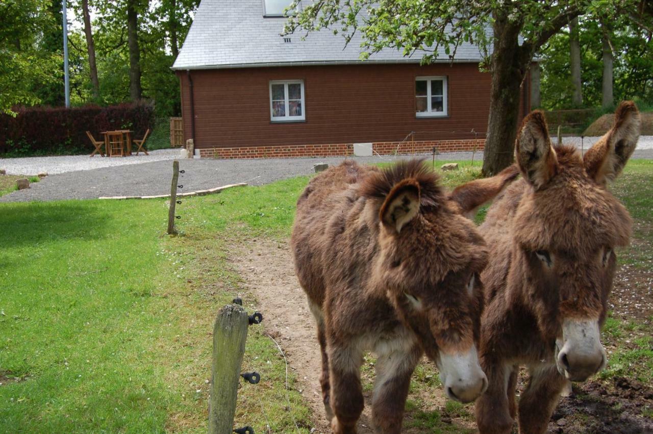 Gites La Charretterie Ourville-en-Caux Екстериор снимка